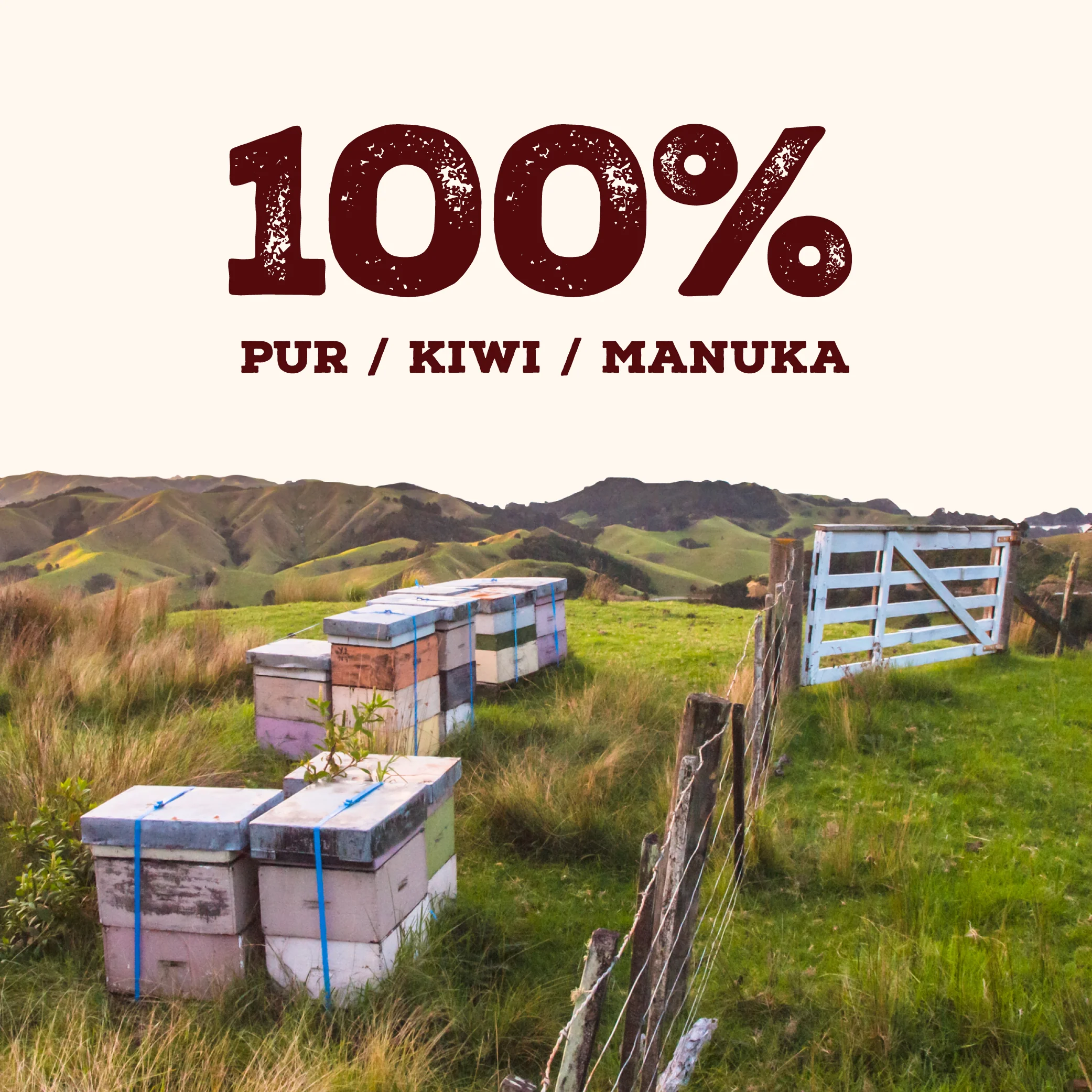 100 MGO Squeezy Manuka Honig 300g - 3er-Pack - Image 11
